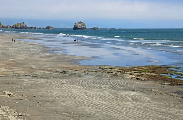 Krajobraz Plażą Point George Crescent City Wybrzeże Oceanu Spokojnego Kalifornia — Zdjęcie stockowe