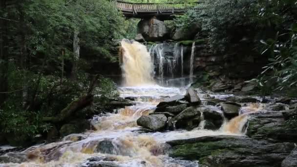 Τοπίο Καταρράκτες Ελακάλα Blackwater Falls State Park Δυτική Βιρτζίνια — Αρχείο Βίντεο