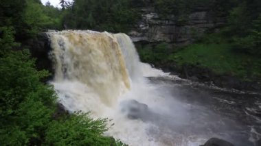 Blackwater Falls - Blackwater Falls Eyalet Parkı, Batı Virginia