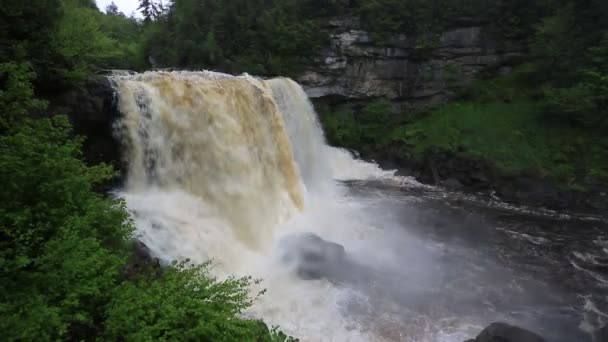 Blick Auf Blackwater Falls Blackwater Falls State Park Westjungfrau — Stockvideo