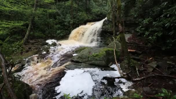 Druga Kropla Wodospadu Elakala Blackwater Falls State Park Zachodnia Wirginia — Wideo stockowe