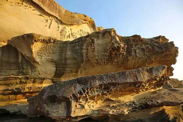 Coastal Cliff Coastal Walk Pacific Sydney New South Wales Australia — Stock Photo, Image