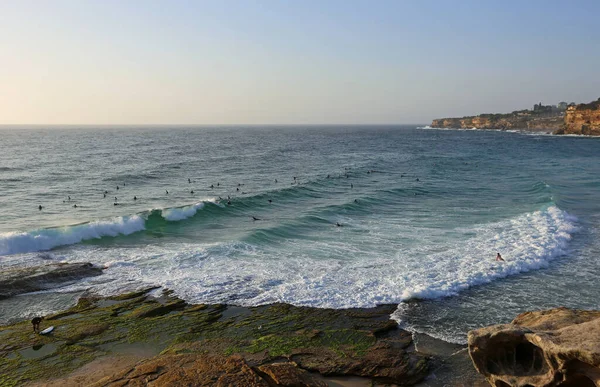 Group Surfers Coastal Walk Pacific Sydney New South Wales Australia — Stock Photo, Image