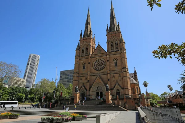 Panorama Con Catedral Santa María Sydney Nueva Gales Del Sur —  Fotos de Stock