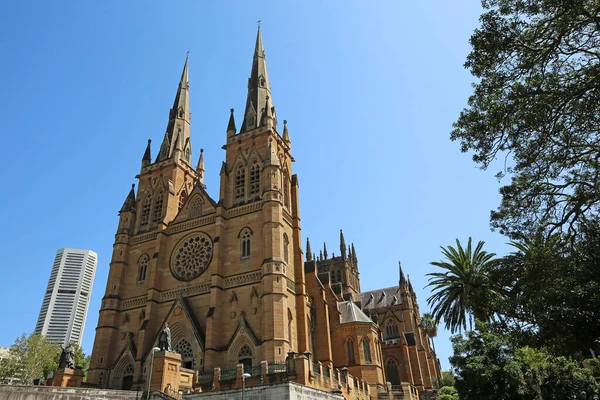 Uitzicht Mary Cathedral Vanuit Het Park Sydney New South Wales — Stockfoto