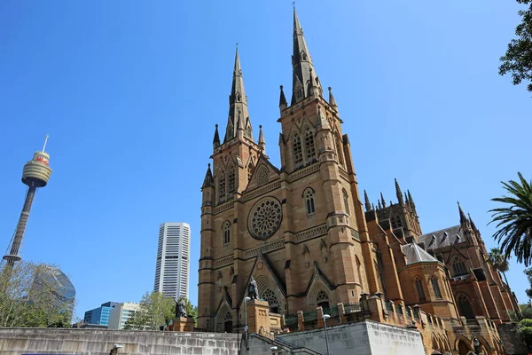 Paisaje Con Catedral Santa María Sydney Nueva Gales Del Sur —  Fotos de Stock