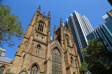 St Andrew Katedrali - Sydney, New South Wales, Avustralya
