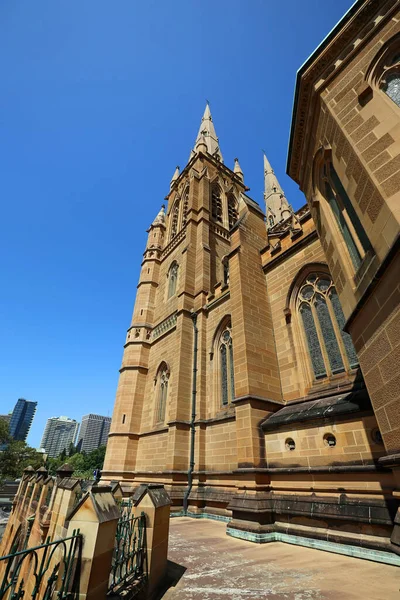 Vista Lateral Torre Este Catedral Santa María Sydney Nueva Gales —  Fotos de Stock