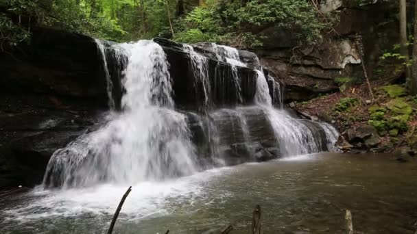 Upper Falls Západní Virginie — Stock video
