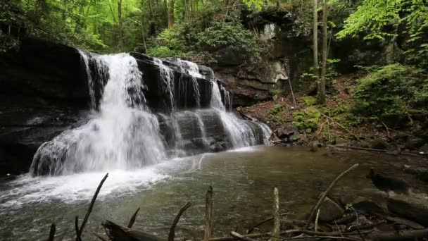 Upper Falls et le chien, Virginie-Occidentale 