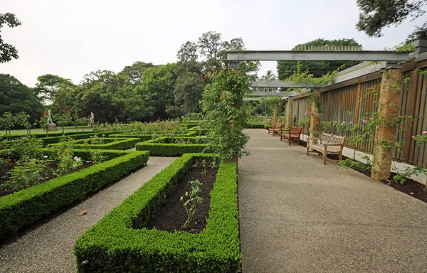 Jardim Rosas Caminho Royal Botanic Gardens New South Wales Austrália — Fotografia de Stock