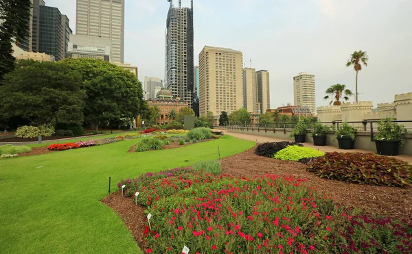 The flower bed and the city - The Royal Botanic Gardens, New South wales, Australia