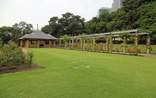 The lawn in rose garden - The Royal Botanic Gardens, New South wales, Australia