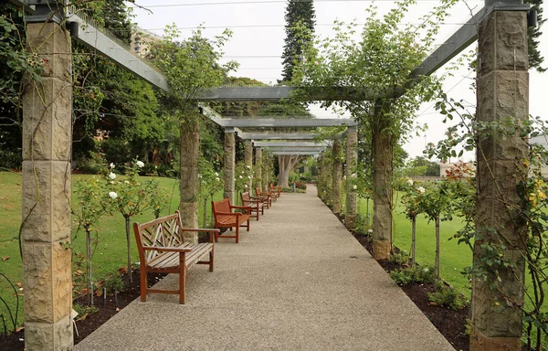 Alley Benches Royal Botanic Gardens New South Wales Australia — стокове фото