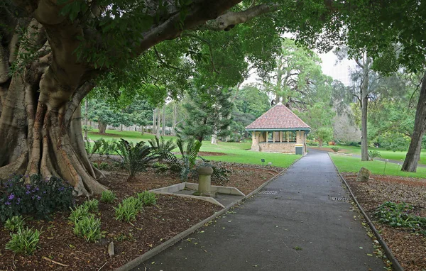 公园的小巷 皇家植物园 澳大利亚新南威尔士州悉尼 — 图库照片