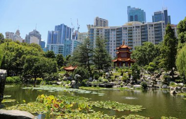 Gurr ve şehre bakın - Çin Dostluk Bahçesi - Sydney, New South Wales, Avustralya - 2 / 1 / 2020