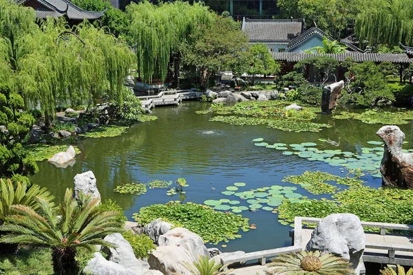 Lake Chinese Garden Friendship Sydney New South Wales Australia 2020 — стоковое фото