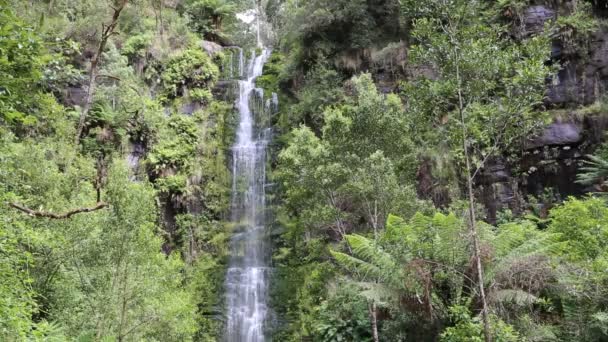 Erskine Falls Great Otway National Park Victoria Australia — Stock Video