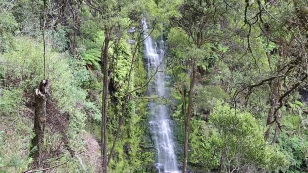 Erskine Falls Tussen Bomen Great Otway National Park Victoria Australië — Stockvideo