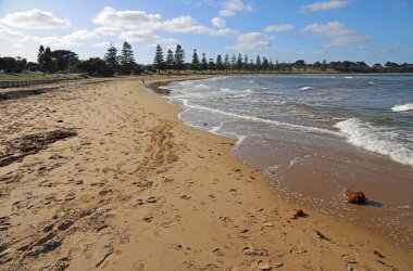 Yürüyen Torquay Front Sahili - Victoria, Avustralya
