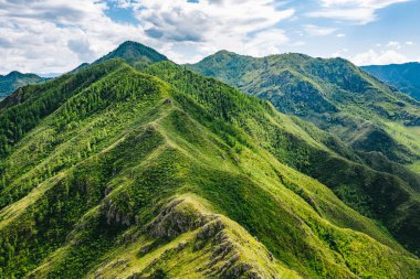 Sibirya 'daki Yeşil Altai Dağları, güneşli yaz günlerinde tepenin üzerindeki hava manzarası. Maly Yaloman, Altai Cumhuriyeti, Rusya yakınlarındaki doğa manzarası