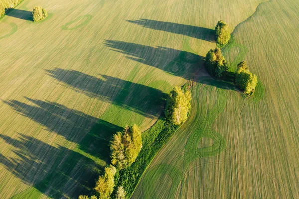 Vista Aérea Del Campo Verde Campo Con Tierras Cultivo Aradas — Foto de Stock