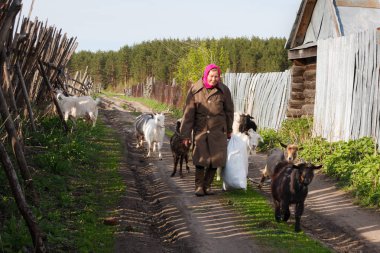 Penza Oblastı, Rusya - 14 Mayıs 2011: Rus köyünde keçili yaşlı kadın