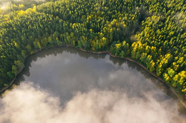 Foggy cloud, autumn forest shoreline and lake at sunrise, aerial top down view. Natural background with copy space