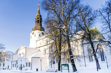 Tallinn Dome Katedrali. Estonya