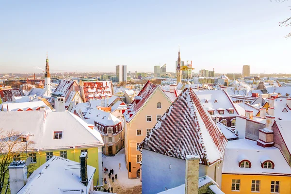 Matin glacé en hiver Tallinn, Estonie — Photo