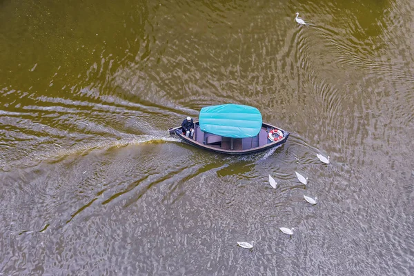 Bote en el agua rodeado de cisnes — Foto de Stock
