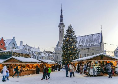 Tallinn Noel. Noel dekorasyon Town Hall Meydanı'uzun boylu