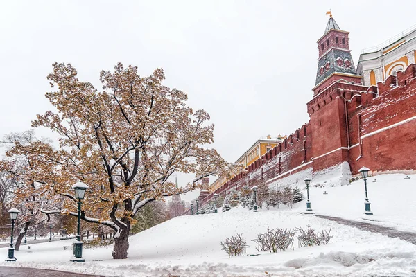 Alexandergarten in Moskau. Winterblick — Stockfoto