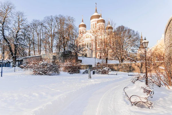 Zimowy mroźny poranek w Tallinie. Aleksandra Newskiego — Zdjęcie stockowe