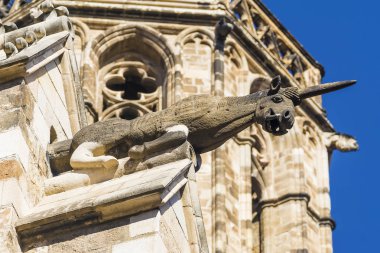Unicorn çirkin yaratık, Plaza del Rey. Gothic Quarter. Barcelona. Spai