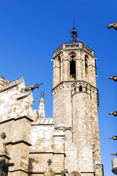 Gargoyle van de kathedraal van barcelona — Stockfoto