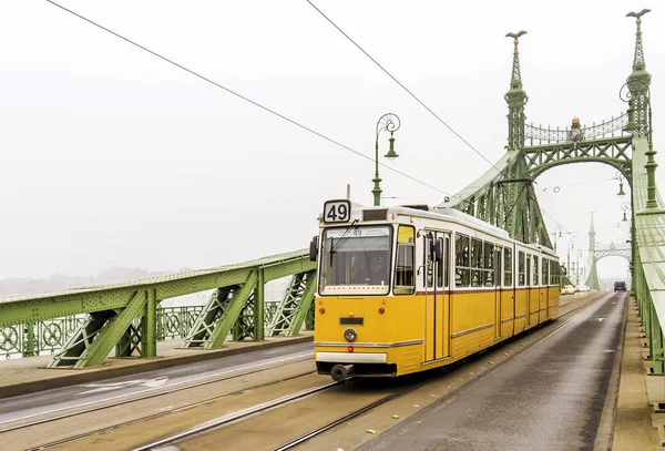 Freedom Bridge in Budapest, Hungary — Stock Photo, Image