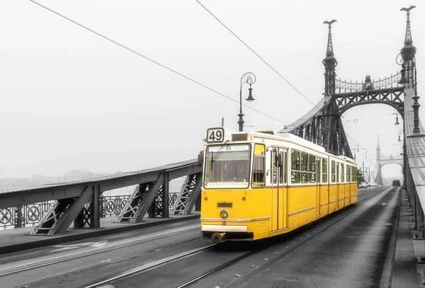 Freedom Bridge in Budapest, Hungary — Stock Photo, Image