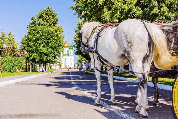 Lovas kocsi az utcákon, a régi orosz város, k — Stock Fotó