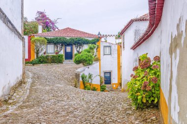 pitoresk caddeleri Obidos, Portekiz