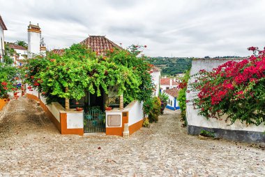 picturesque streets of the old Obidos, Portugal clipart