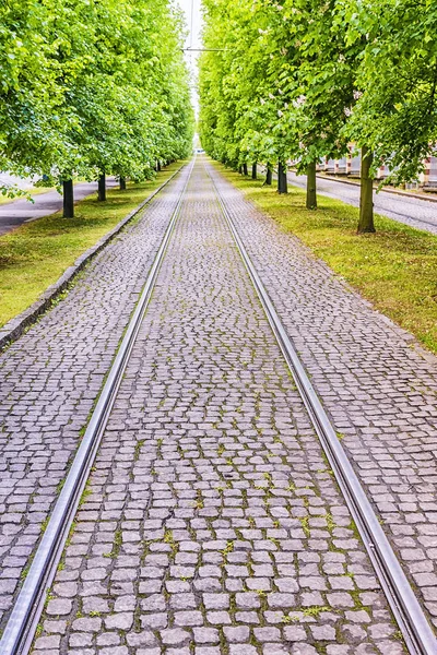 Tram rails in the lime avenue — Stock Photo, Image