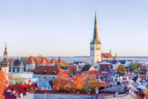 Панорама осени Таллинн, Эстония — стоковое фото