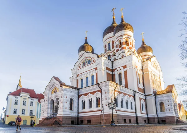 탈린에서 알렉산더 Nevsky 대성당입니다. 에스토니아 — 스톡 사진