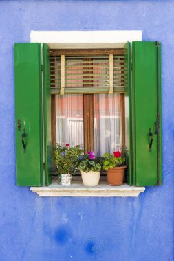 Pencere Panjur pencere üzerinde çiçekli ile