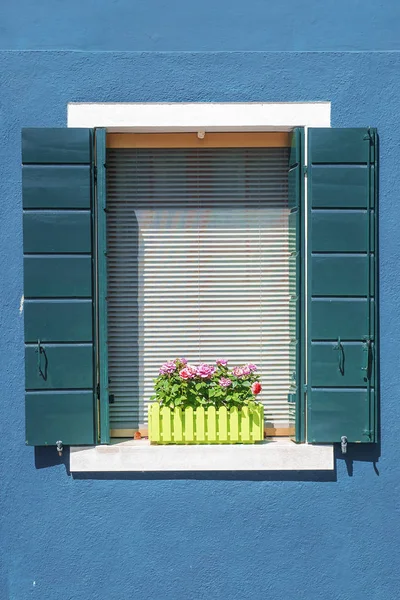 Janela com persianas com flores no peitoril da janela — Fotografia de Stock