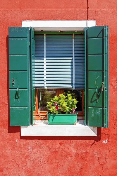 Finestra con fiori sul davanzale della finestra — Foto Stock