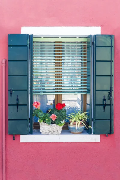 Finestra con fiori sul davanzale della finestra — Foto Stock