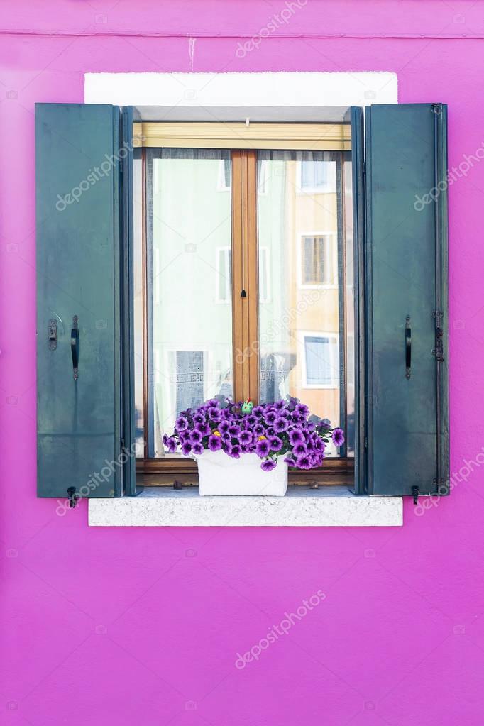 Window with flowers on the windowsill