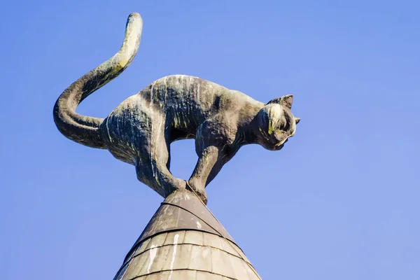 Casa con gatti neri a Riga — Foto Stock